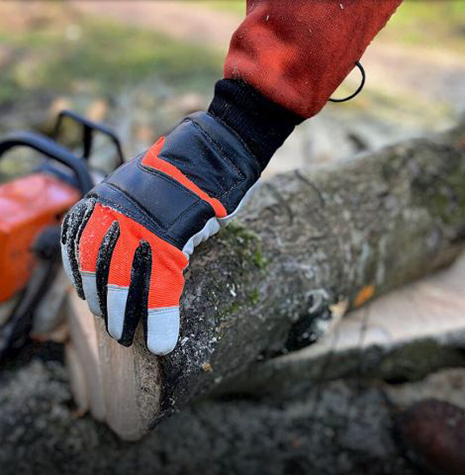 Arbeitshandschuhe Forest Master 9